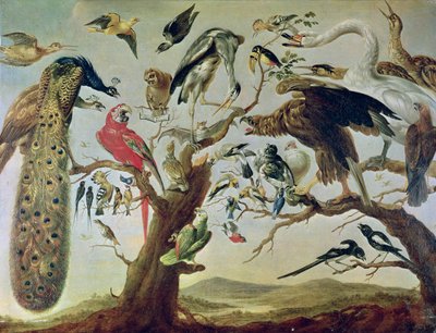 The Bird